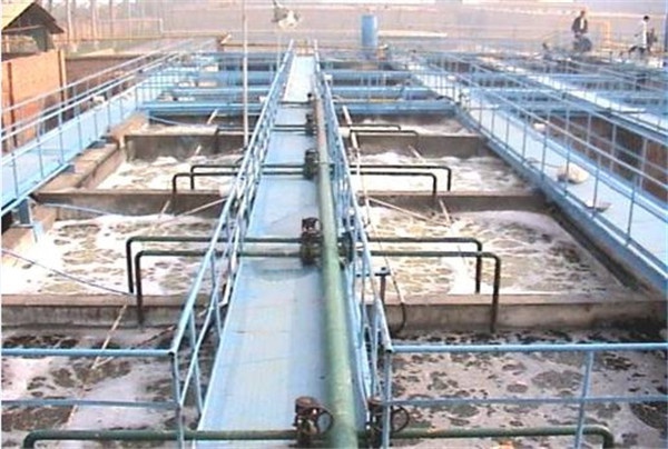 1631253300633692.jpg 圖片10.jpg