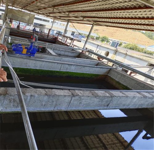 1631253310252977.jpg 圖片12.jpg